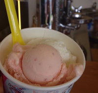 Bermagui Gelati Clinic - Australia Accommodation