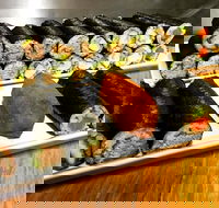 Freewave Sushi  Burgers - Australia Accommodation