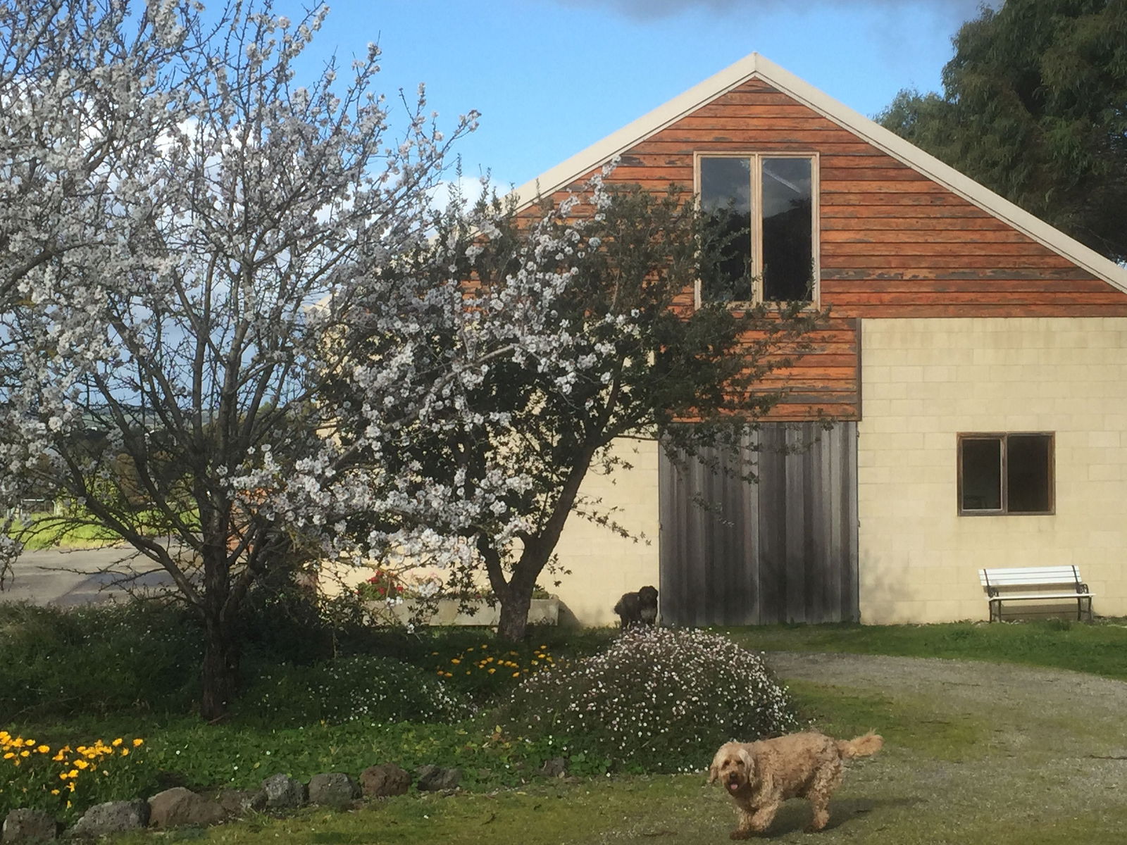Drysdale VIC Australia Accommodation