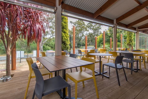 The Duck - Australia Accommodation 1
