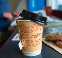 Wild Bean Cafe - Kingsford - Australia Accommodation