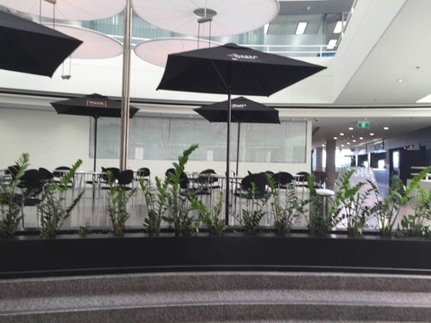 D Cafe - Australia Accommodation 0