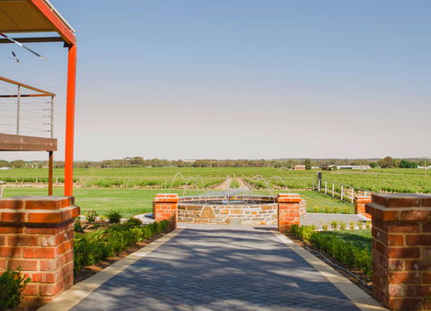 Calabria Family Wines Barossa - Australia Accommodation 2
