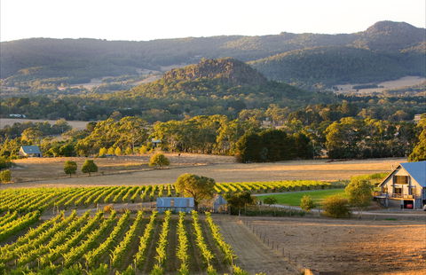Hanging Rock Winery - Australia Accommodation 0