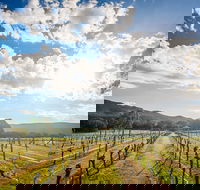 Fallen Giants Vineyard - Australia Accommodation