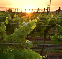 Bennetts on Bellarine Winery - Australia Accommodation