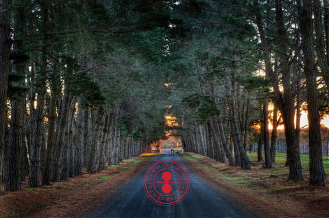Eden Road Wines - Australia Accommodation 1