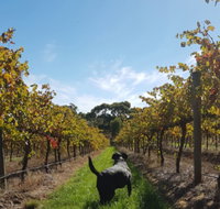 Ruddenklau Wines - Australia Accommodation