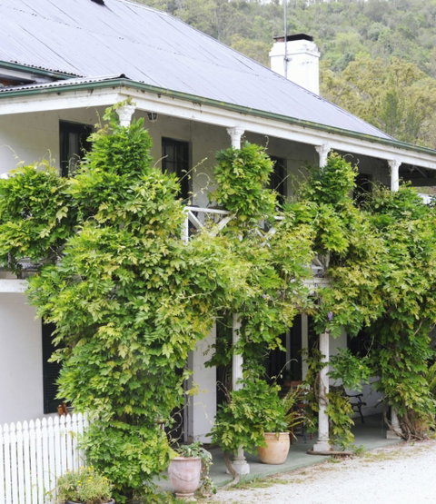 The Common Ground Cafe And Bakery - Australia Accommodation 0