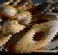 Criterion Tavern - Australia Accommodation