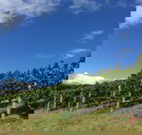 Freycinet Vineyard - Australia Accommodation