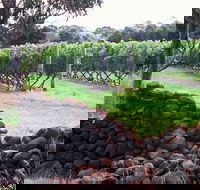 Spring Vale Vineyard - Australia Accommodation