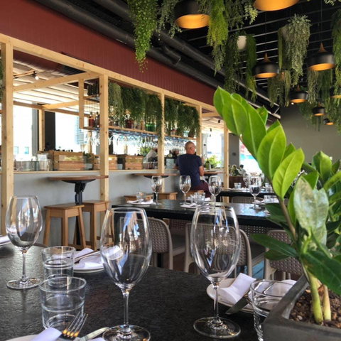 Ficus - Australia Accommodation 0