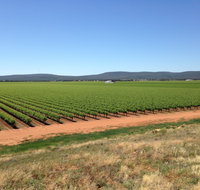 Melange Wines - Australia Accommodation