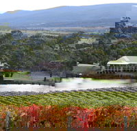 Milton Vineyard - Australia Accommodation