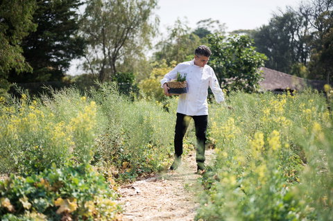 The Wild Flower Bar And Dining - Australia Accommodation 2