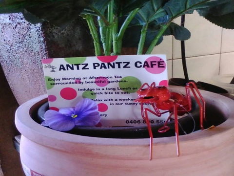Antz Pantz Cafe - Australia Accommodation 0