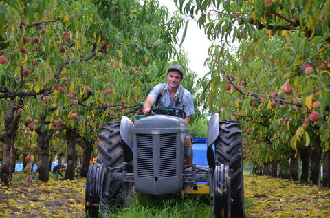 Darkes Glenbernie Orchard - Australia Accommodation 1