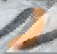 Blue Ocean - Australia Accommodation