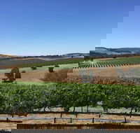 Peerick Vineyard and Winery - Australia Accommodation