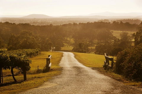 Petersons Wines - Australia Accommodation 0