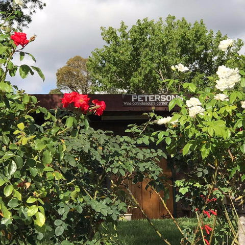 Petersons Wines - Australia Accommodation 1