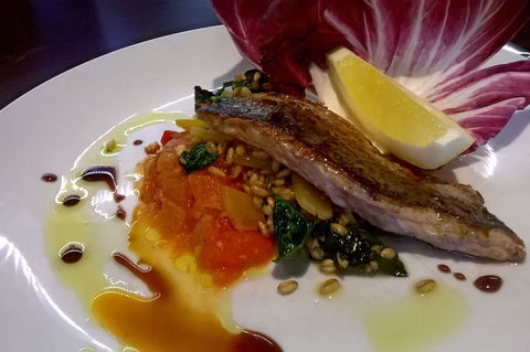 X74 - Australia Accommodation 0