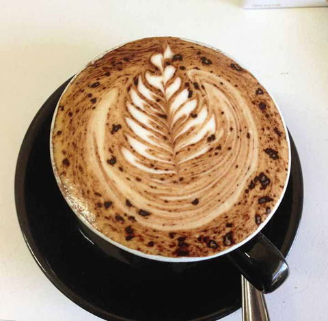 Queens Park Pizza - Australia Accommodation 0