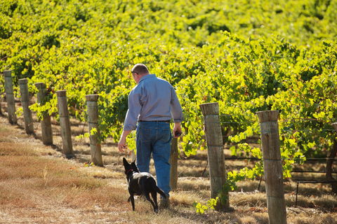 Eden Hall Wines - Australia Accommodation 1