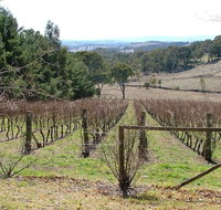 Habitat Vineyard - Australia Accommodation