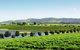 Yarrawood Estate - thumb 2