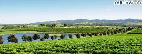 Yarrawood Estate - Australia Accommodation 2