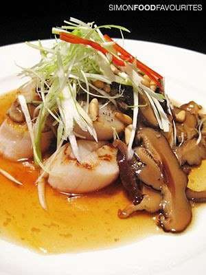 Banana Palm - Australia Accommodation 0