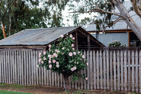 Penny's Hill Winery - Australia Accommodation 2