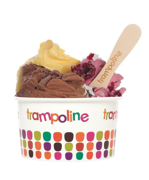 Trampoline Gelato - Doncaster - Australia Accommodation 0