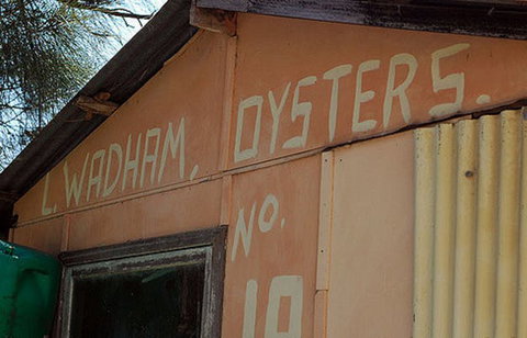 Les Wadham Oysters - Broken Bay Pacific Oysters - Australia Accommodation 0