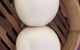 New Moon - thumb 4