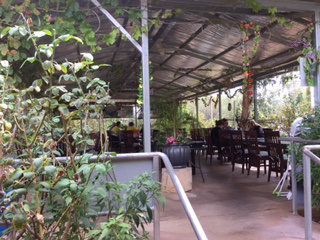 Alice Vietnamese Restaurant - Australia Accommodation 4