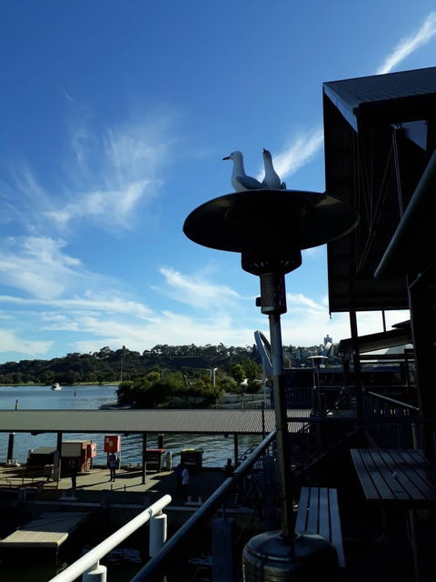 Annalakshmi On The Swan - Australia Accommodation 2
