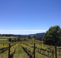Barringwood Vineyard and Cellar Door Restaurant - Australia Accommodation
