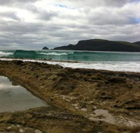 Bruny Island Berry Farm - Australia Accommodation