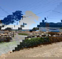 Penguin  Pardalote Coffee House - Australia Accommodation
