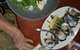 The Como Hotel - thumb 3