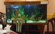 Dunsborough Chinese Restaurant - thumb 2