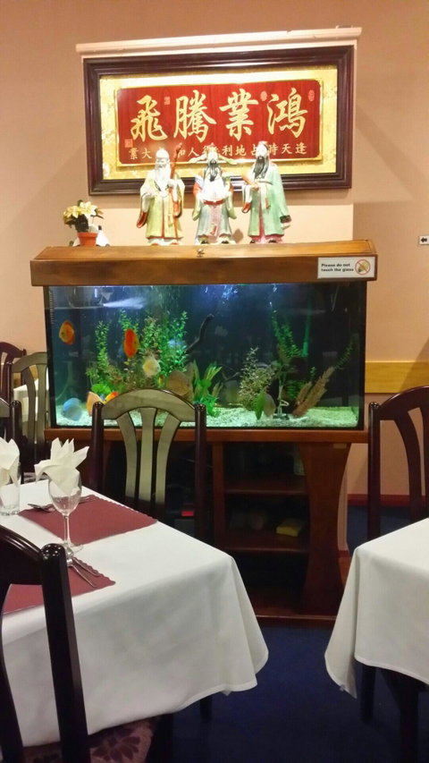 Dunsborough Chinese Restaurant - Australia Accommodation 4