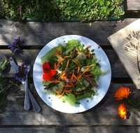 Fair Harvest Farm Cafe - Australia Accommodation