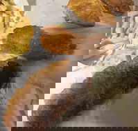 Highland Seafood - Australia Accommodation