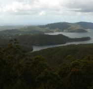 Lower Beechmont Kitchen - Australia Accommodation