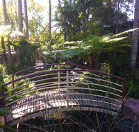 Lorikeet's Coffee Shop - Australia Accommodation