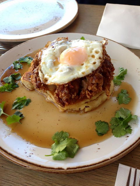 Mary Street Bakery - Australia Accommodation 4